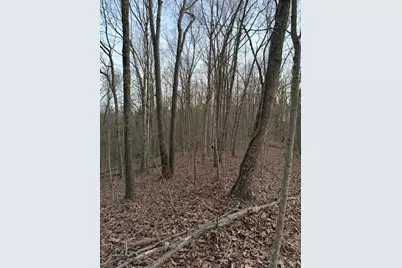 0 St Rt 139, Madison Township, OH 45653 - Photo 73