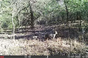 398 St Rt 133, Franklin Township, OH 45120 - Photo 41