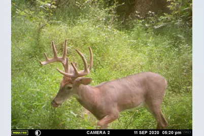 398 St Rt 133, Franklin Township, OH 45120 - Photo 43