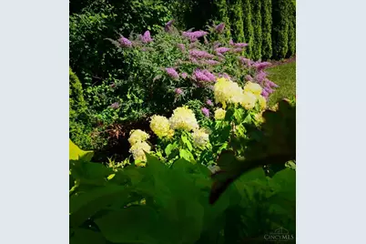 26 W Mills Avenue, Wyoming, OH 45215 - Photo 5