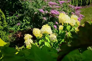 26 W Mills Ave, Wyoming, OH 45215 - Photo 5