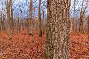 265 Greenbrier Rd, Seaman, OH 45679 - Photo 25