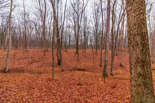 265 Greenbrier Rd, Seaman, OH 45679 - Photo 23