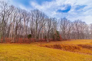 265 Greenbrier Rd, Seaman, OH 45679 - Photo 27