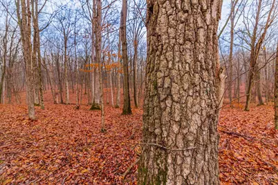 265 Greenbrier Rd, Seaman, OH 45679 - Photo 27