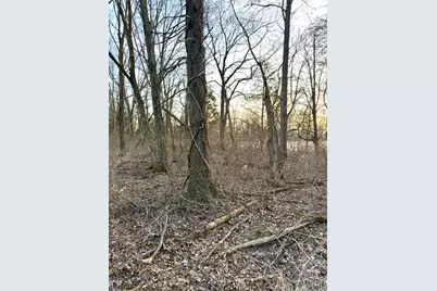 0 Martin Alexander, Jackson Township, OH 45171 - Photo 41