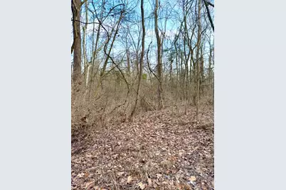 0 Martin Alexander, Jackson Township, OH 45171 - Photo 11