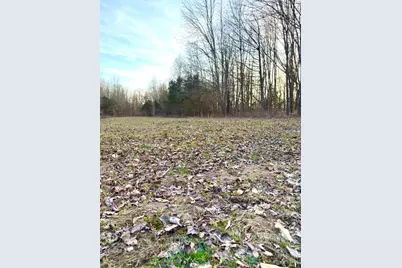 0 Martin Alexander, Jackson Township, OH 45171 - Photo 37