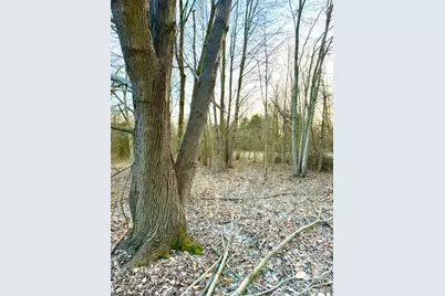 0 Martin Alexander, Jackson Township, OH 45171 - Photo 7