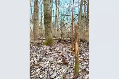 0 Martin Alexander, Jackson Township, OH 45171 - Photo 5