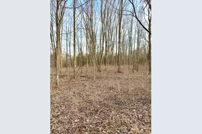 0 Martin Alexander, Jackson Township, OH 45171 - Photo 39