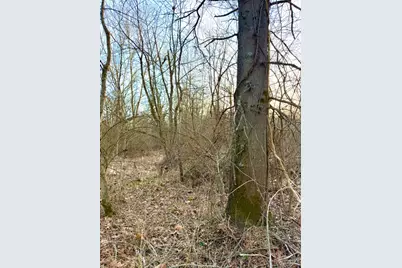 0 Martin Alexander, Jackson Township, OH 45171 - Photo 43