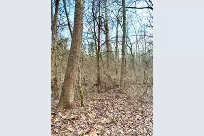 0 Martin Alexander, Jackson Township, OH 45171 - Photo 31