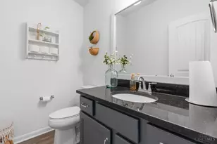 182 Rippling Brook Ln, Springboro, OH 45066 - Photo 29