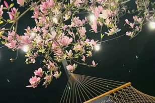 8602 Linderwood Ln, Anderson Township, OH 45255 - Photo 25