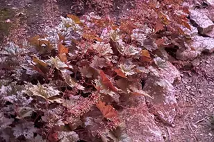 7753 Lakota Springs Dr, West Chester, OH 45069 - Photo 29