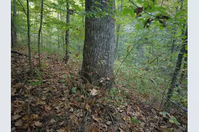 22 Richey Road, Felicity, OH 45120 - Photo 19