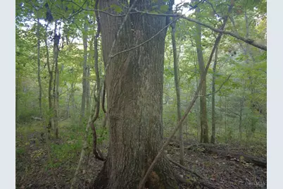 22 Richey Road, Felicity, OH 45120 - Photo 13