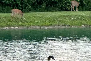 4301 Carnell Dr, Clearcreek Twp., OH 45036 - Photo 9