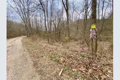 20 Beech Fork Road, Otway, OH 45657 - Photo 11