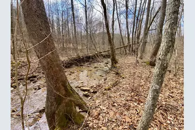 20 Beech Fork Road, Otway, OH 45657 - Photo 13