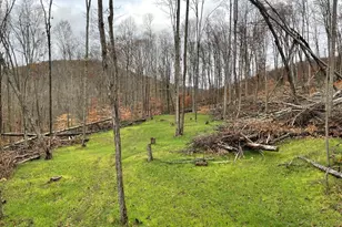 20 Beech Fork Rd, Otway, OH 45657 - Photo 1