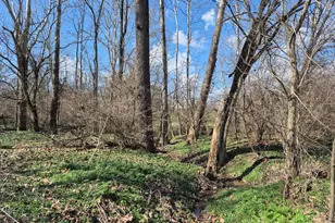 6656 St Rt 133, Wayne Township, OH 45162 - Photo 37