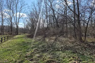 6656 St Rt 133, Wayne Township, OH 45162 - Photo 33