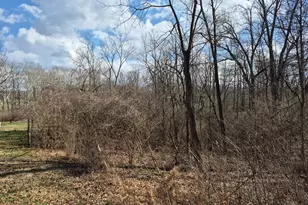 6656 St Rt 133, Wayne Township, OH 45162 - Photo 9