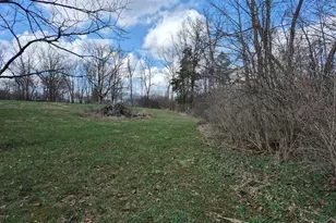6656 St Rt 133, Wayne Township, OH 45162 - Photo 15