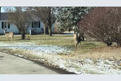 0 Itawamba #2044, Jackson Township, OH 45171 - Photo 3