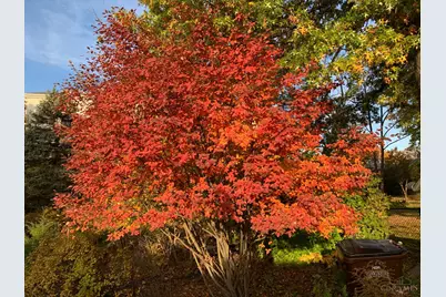 9485 Wynnecrest Drive, Blue Ash, OH 45242 - Photo 25