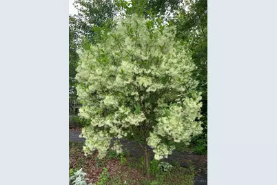 9485 Wynnecrest Drive, Blue Ash, OH 45242 - Photo 23