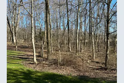 3960 Rapid Forge Road, Bainbridge, OH 45612 - Photo 11