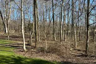 3960 Rapid Forge Rd, Bainbridge, OH 45612 - Photo 11