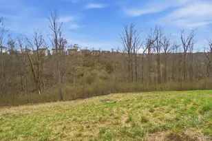 113 Sunrise Ln, New Richmond, OH 45157 - Photo 49