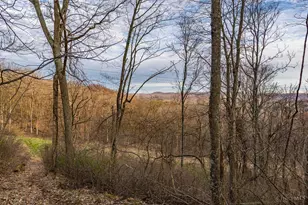 1054 Coon Hollow Rd, Blue Creek, OH 45616 - Photo 25