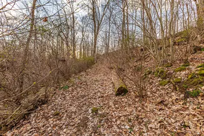 1054 Coon Hollow Road, Blue Creek, OH 45616 - Photo 27