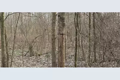 508 Cherry Street, Blanchester, OH 45107 - Photo 3