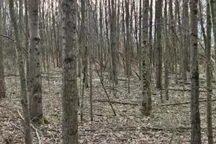 508 Cherry St, Blanchester, OH 45107 - Photo 1