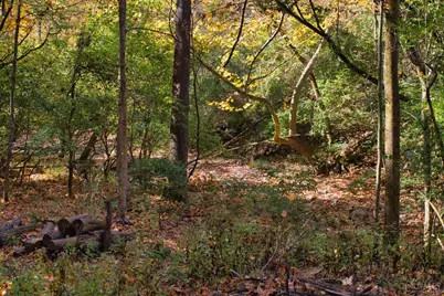 7167 Goshen Road, Goshen, OH 45122 - Photo 31