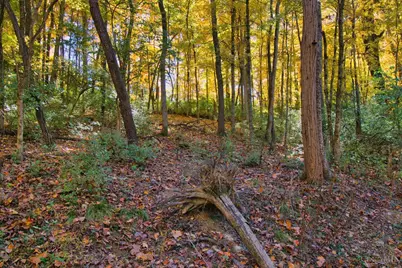7167 Goshen Road, Goshen, OH 45122 - Photo 29