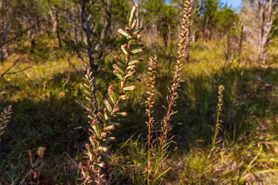 0 St Rt 41, West Union, OH 45693 - Photo 63