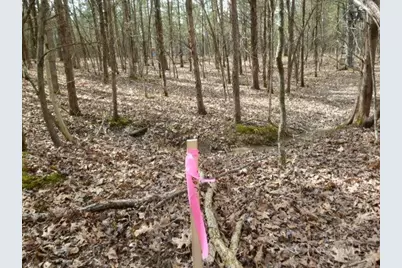 0 St Rt 41, West Union, OH 45693 - Photo 47