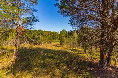 0 St Rt 41, West Union, OH 45693 - Photo 61