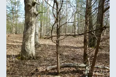 0 St Rt 41, West Union, OH 45693 - Photo 41