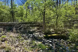 10331 Fields Ertel Rd, Symmes Township, OH 45140 - Photo 37