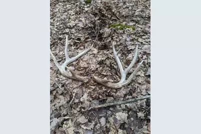 72 Yankeetwon Road, Hamersville, OH 45130 - Photo 9