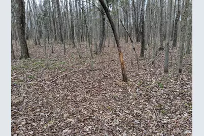 72 Yankeetwon Road, Hamersville, OH 45130 - Photo 7