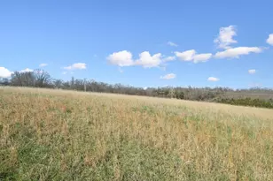 0 Ginger Ridge Rd, Manchester, OH 45144 - Photo 7